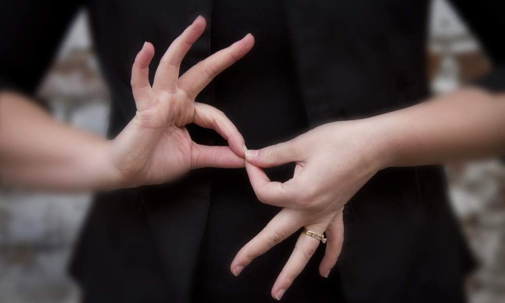 American Sign Language Interpreter Sign Language Master